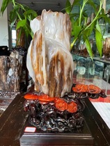 New Myanmar ice species tree jade rough stone ornaments Lucky Town House Qishi collection wood fossil Desktop modeling stone