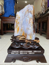 Myanmar tree jade rough stone large ornaments wood fossil strange stone Silicified wood Living room decoration Lucky town house patron stone