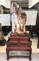 Myanmar wood jade Large strange stone Rough stone hall lucky town house Stone wood fossil Silicified wood Tree jade ornaments
