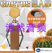 The Haoran Audio-BLUE Cactus cactus microphone K song microphone live full set of equipment