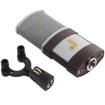 JZ J1 pure handmade professional condenser microphone recording microphone live karaoke microphone licensed