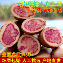 Yunnan colorful potatoes Native red heart potatoes Net weight 10 kg fresh potatoes Non-GMO heart potatoes