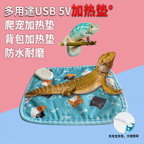 Reptile Heating Mat Small Pet Electric Blanket Waterproof anti-catch turtle spider Spider Corner Frog Palate Winter Insulation Backpack Mat