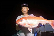 The price difference is used in a