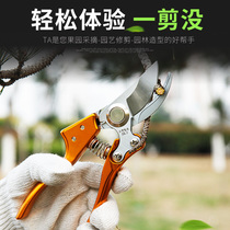 Taiwan imported pruning scissors gardening scissors fruit tree scissors household branch scissors tool pruning scissors fruit branch scissors