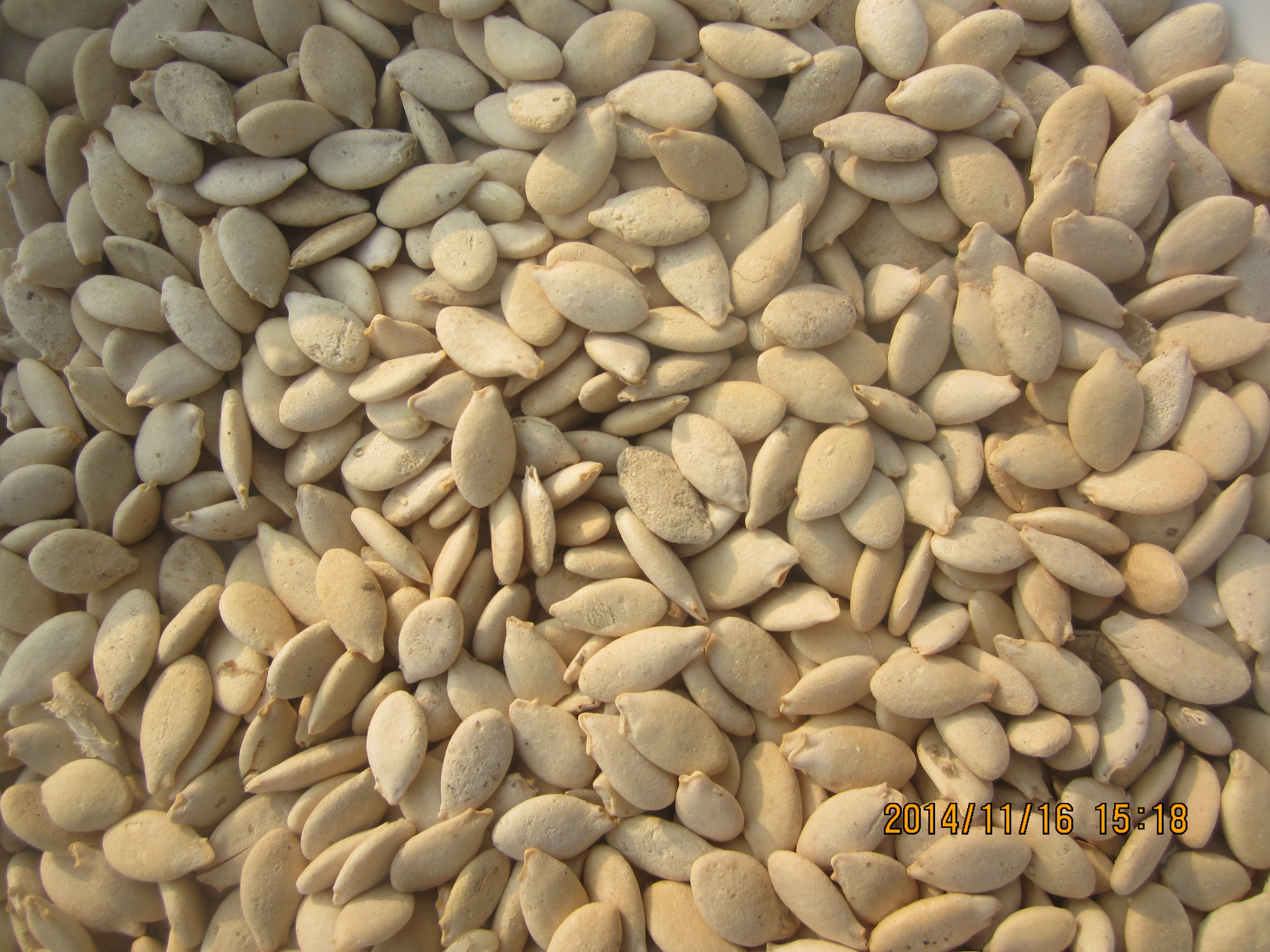 纯冬瓜籽粉 冬瓜子粉 冬瓜仁粉 纯粉无添加 29省市包邮