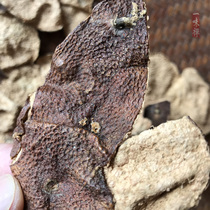 Rare shortage of goods is precious in 1996 Tibetan mint fragrance collection 25 grams of Dongjia Mandarin original branches after winter solstice