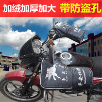 Winter motorcycle handle electric car gloves thickened warm windshield waterproof 125 straddle tricycle men and women