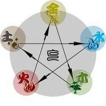 Teacher Ma Qin teacher Five Elements Acupuncture lecture video 250 minutes-Ma Qin Five Elements Acupuncture teaching materials complete album