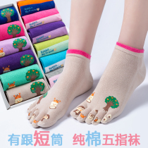 Value spring and autumn five-finger socks womens cotton thin short tube boat socks cute split toes cotton low tube socks four seasons breathable