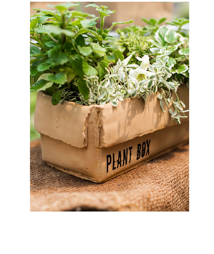厂家直销 花盒牛皮纸箱花盆创意花器水泥北欧ins花篮中室内阳台花