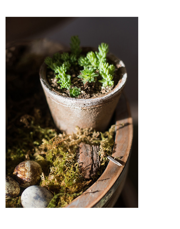 自然生长青苔红陶花盆 素朴日式风格种植器皿杂货花园