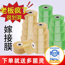 Fruit Tree Grafting Special Tools Gardening Grafting Knife Crops of Divine Instrumental Plastic Suit Transparent Thickened Graft Film Agricultural