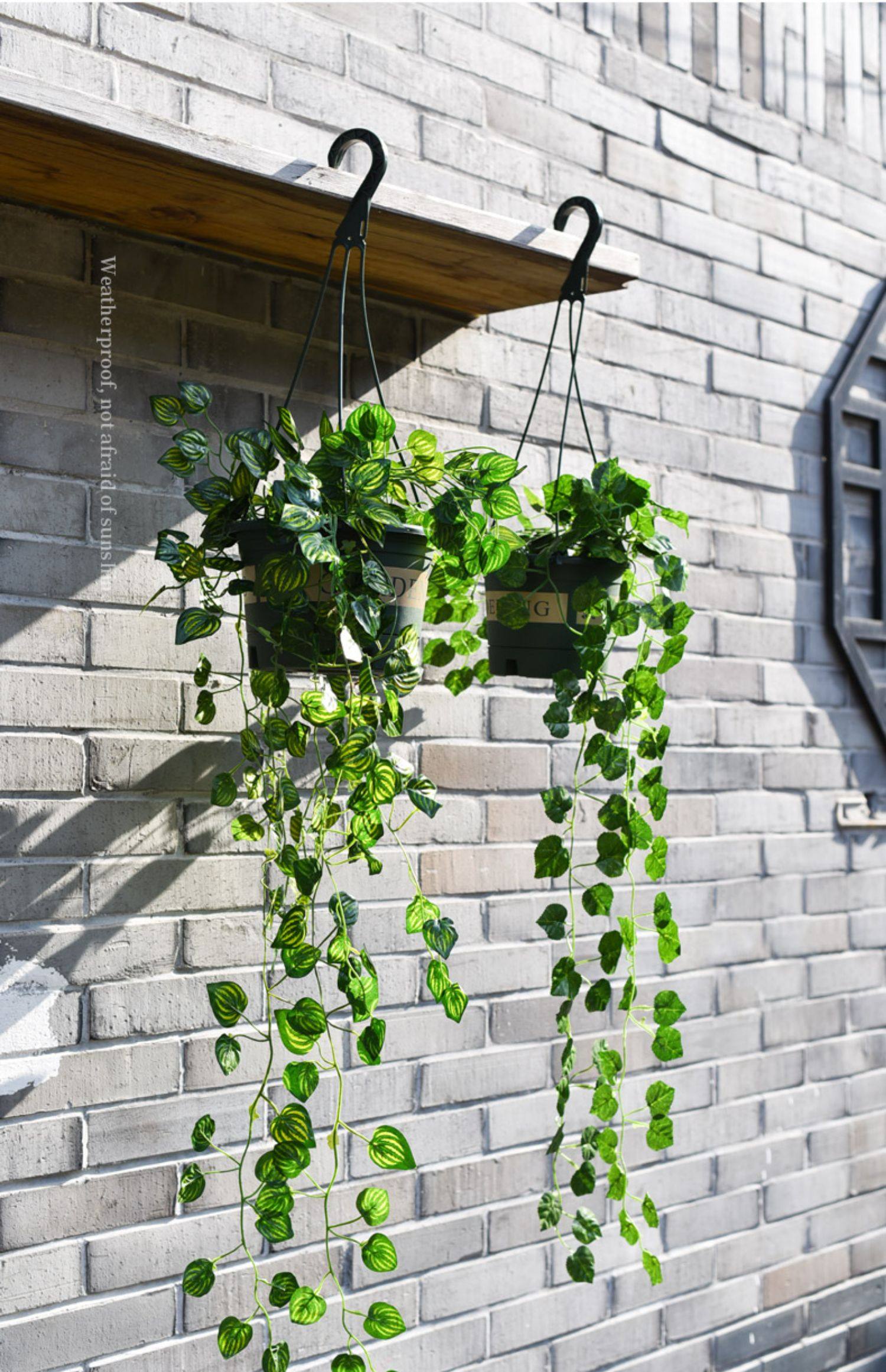 吊盆花盆悬挂式加仑吊篮加厚室内