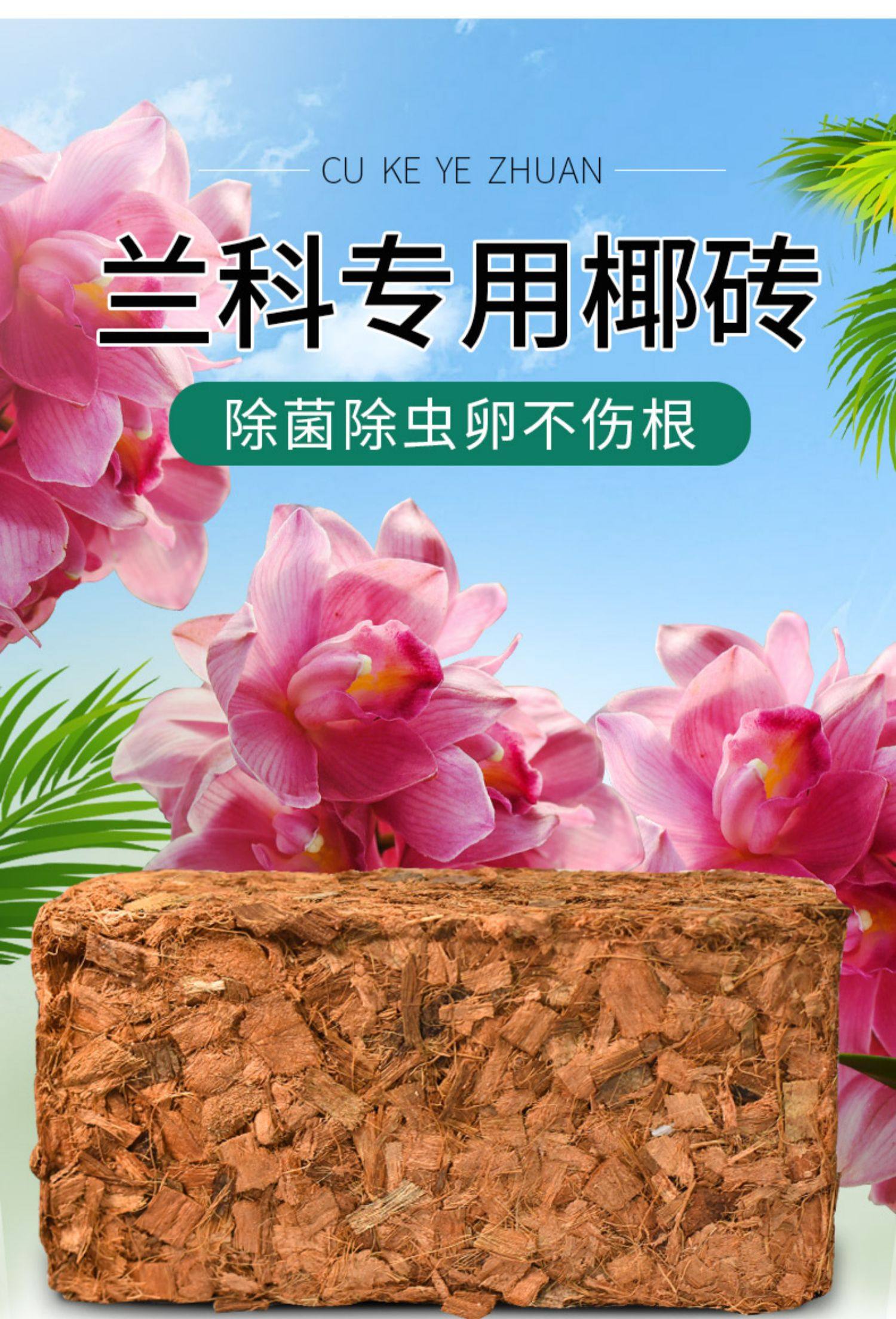 兰花专用营养土椰壳砖粗椰糠蝴蝶兰石斛植料粗椰块有机脱盐椰砖