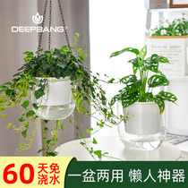 Flower Pots Thickened Orchid Transparent Self-Absorbent Sloth People Flower Pots Water Raising Hydroponic Plants Green Lush Pelvis Plastic Chandelia Basin