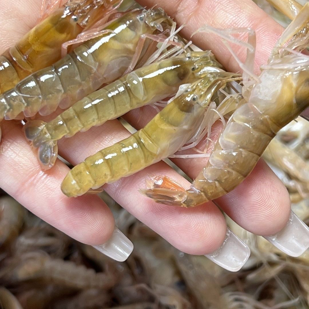 大连嘎巴虾的鲜美秘密你真的懂吗