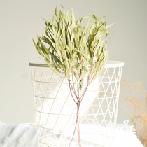 Natural millet leaf dried flower bouquet eucalyptus leaf millet fruit Nordic ins softly packed flower arrangement leaves fine leaf Eugali