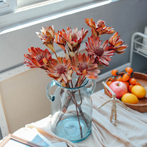 Africa imported with leaves Phoenix flower dried flower high-end Eternal Flower home window decoration Nordic shop display ornaments