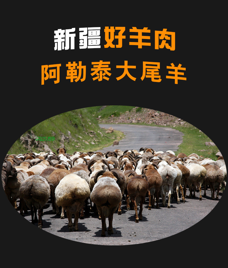 【旺疆】新鲜羊肉新疆生羊肉绵羊肉阿勒泰大尾巴羊整只30斤包邮