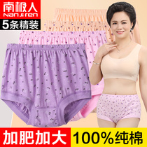 South Pole mothers underwear female pure cotton Summer middle aged high waist large size loose all-cotton grandma triangular shorts