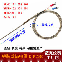 WRNK-191 Armored thermocouple fine probe Wire temperature probe E J PT100 fast temperature sensor