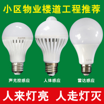 Human body induction bulb household led intelligent infrared radar sensor light corridor corridor aisle voice control automatic