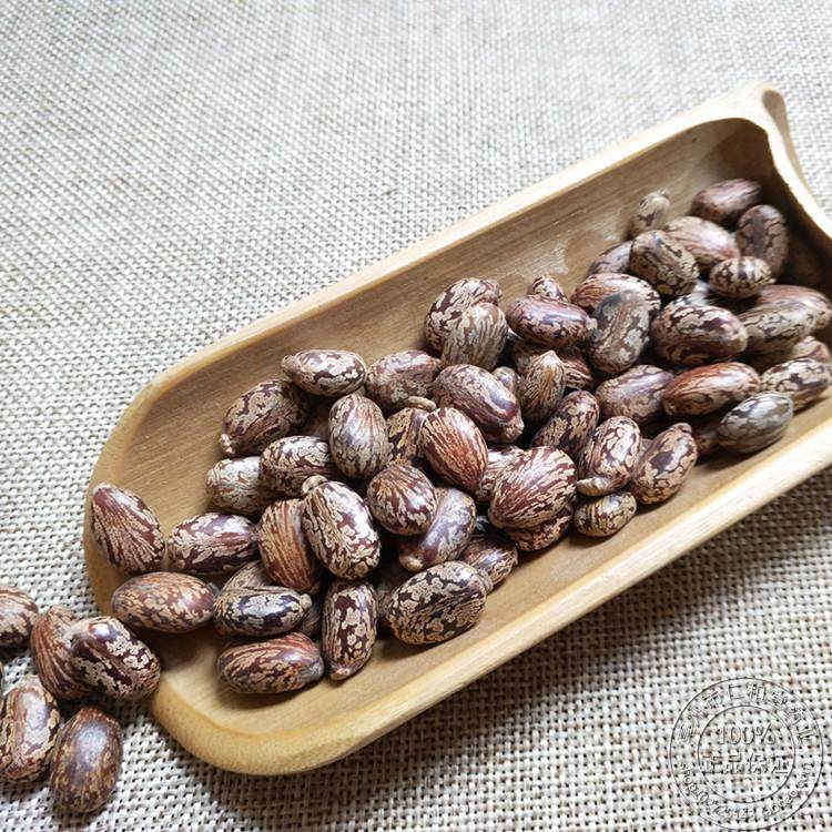 新采中药材种籽 油料作物大蓖麻籽 红麻籽 蓖麻仁 蓖麻种籽可榨油