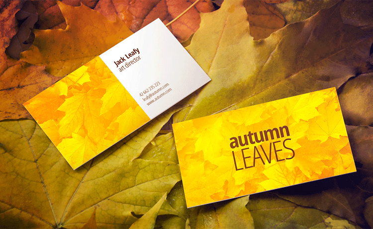 铜版纸卡片 婚庆名片 免费logo设计 普通名片印刷制作包邮