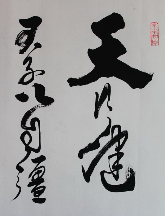天行健 厚德载物书法作品字画书画名家手写真迹客厅办公室已装裱