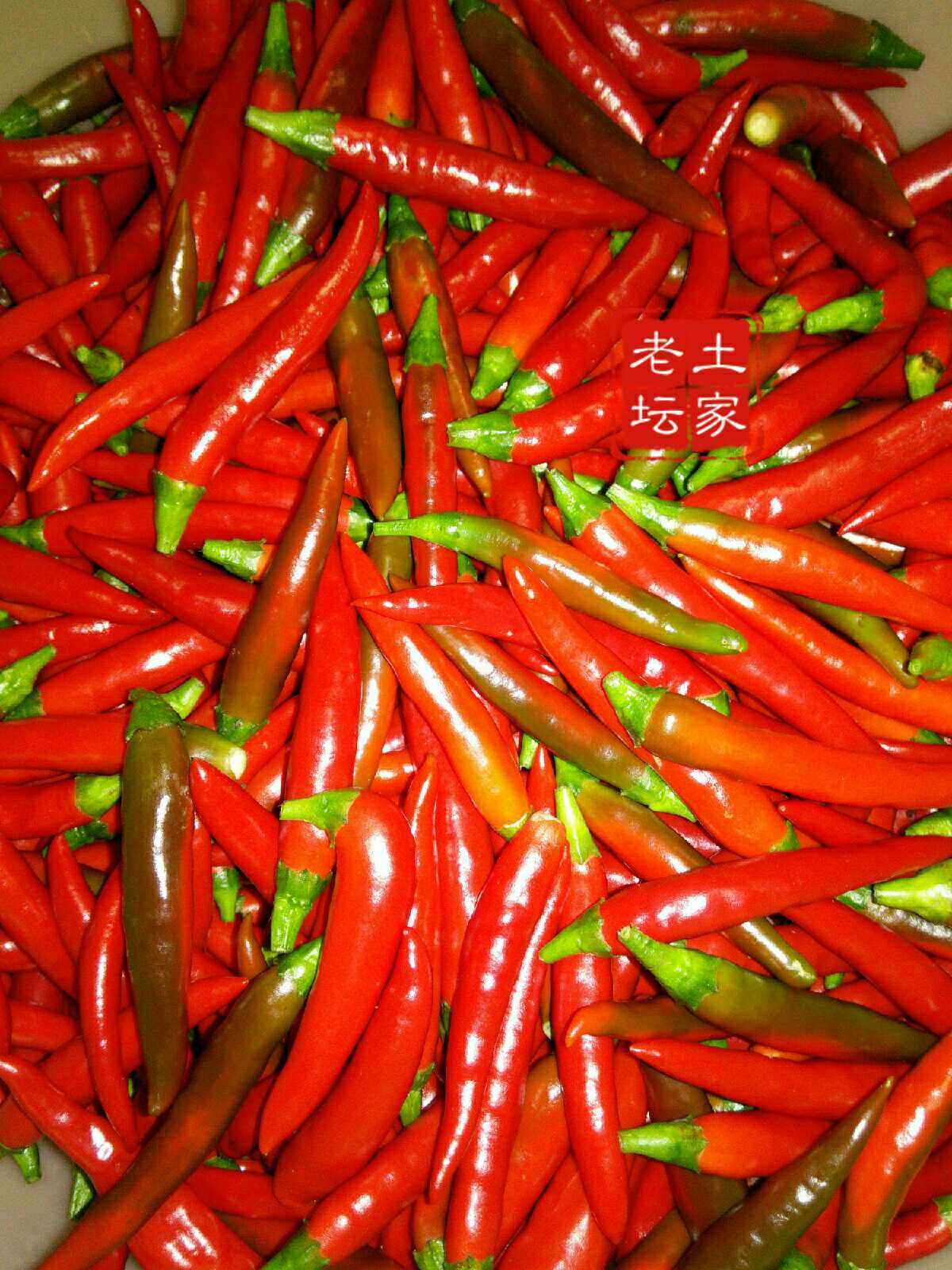 腌辣椒青广椒 恩施巴东土家土特产 老坛秘制咸菜腌菜酱菜酸菜泡菜_7折