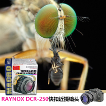 RaynoxDCR-250DCR-150 Macro close-up lens SLR Micro single insect flower oral photography