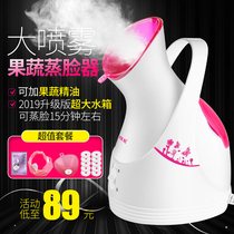 Portable face steamer hydrating thermal spray Household beauty instrument Non-detox nano sprayer Face steamer Face humidification