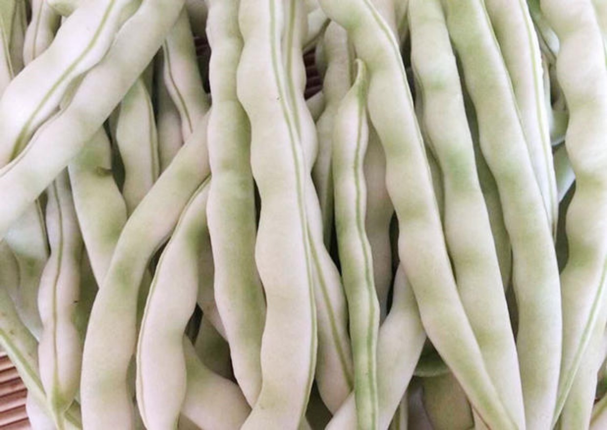 新鲜蔬菜 山东老来少白芸豆 白扁豆菜豆四季豆 现摘现发 500g_7折现价