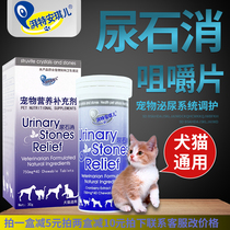 Angel urine stone elimination dog cat urinary tract infection cystitis kidney stone hematuria pet