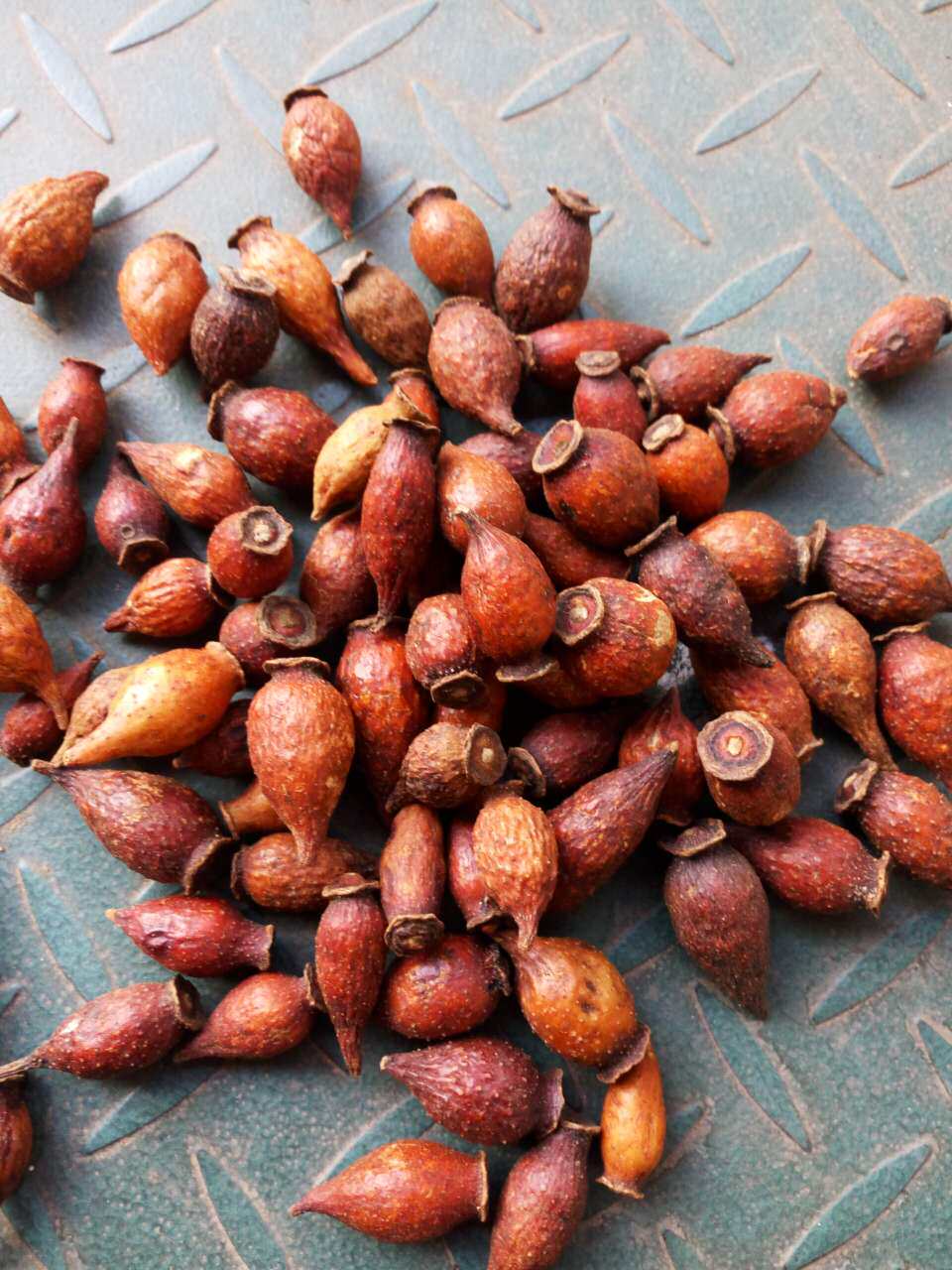 金樱子 2斤包邮 干货新鲜 金樱个 泡酒料 中药材市场供应500克