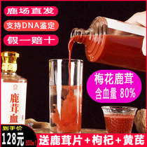 Jilin Plum Blossom Pure Antler Blood Wine Pure Fresh Deer Blood Plus Wine Preservation Deer Painstaking Wine Medicinal Herbs 500ml