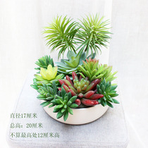 Fake succulents decorative ornaments Simulation succulents potted Nordic single fake flower combination home furnishings