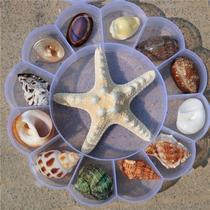 Decorations inside the fish tank Aquarium decoration Landscaping Small ornaments Household shells starfish cloth
