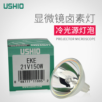 Excellent Oxtail USHIO EKE L 21V 150W Fiber Optic lighting bulb Coating machine Microscope light