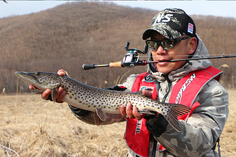 ns 新复仇者淡水路亚竿枪柄直柄 碳素轻硬通用型翘嘴鲈鱼竿_优惠特价