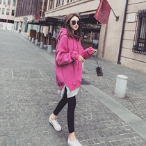 Pregnant womens autumn coat Korean cotton breastfeeding clothes fake two hooded long loose plus velvet pregnant womens sweater winter