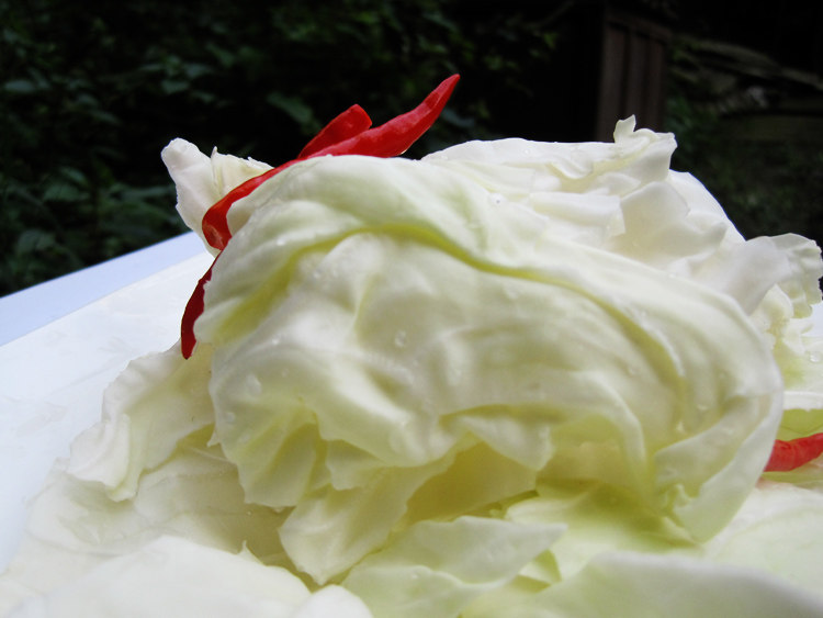 包邮正宗四川跳水泡菜农家制作纯天然蔬菜泡白菜泡包菜酸菜500g