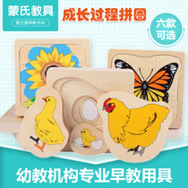 Mons teaching animal and plant multilayer puzzle growth process of development butterfly frog hen 1 - 3 year old panel toy