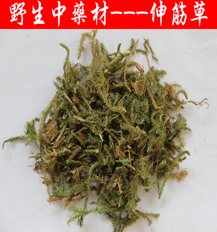 双氙论坛 汽车灯光升级 汽车照明 金牌改装店 我要改灯 汽车改装配件