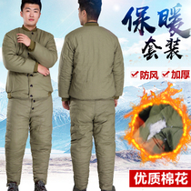 Lau Bao Jun Cotton Padded Jacket Thickened Cotton Clothing Army Green Army With Cotton Clothes Cotton Pants Suit Cold Bank Cold Proof Warm Old Men And Women Winter