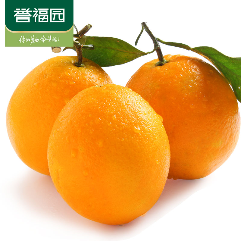 第二件半价【誉福园】新鲜水果橙子 正宗秭归纽荷尔脐橙橙子5斤产品展示图3