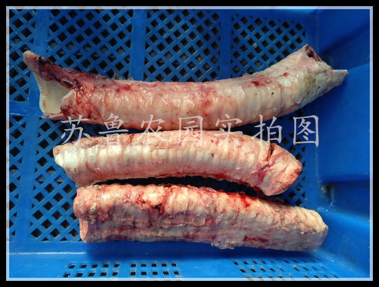 新鲜牛气管 牛喉管 牛食道 牛软骨脆骨 20斤装包邮江浙沪皖