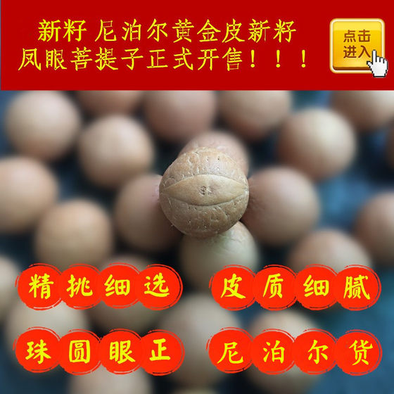 선택된 네팔 새 씨앗 붉은 노란색 피부 작은 피닉스 눈 보디 씨앗 느슨한 구슬 longan bodhi 씨앗 원자 선택된 네팔 새 씨앗 붉은 노란색 피부 작은 피닉스 눈 보디 씨앗 느슨한 구슬 longan bodhi 씨앗 원자