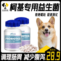 Kokie Special Dogs Eat Dog Constipation Probiotic Diarrhea diarrhea Diarrhea Vomiting Conditioning Gut puppies intestinal digestion